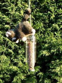 squirrel proof bird feeder toy raccoon